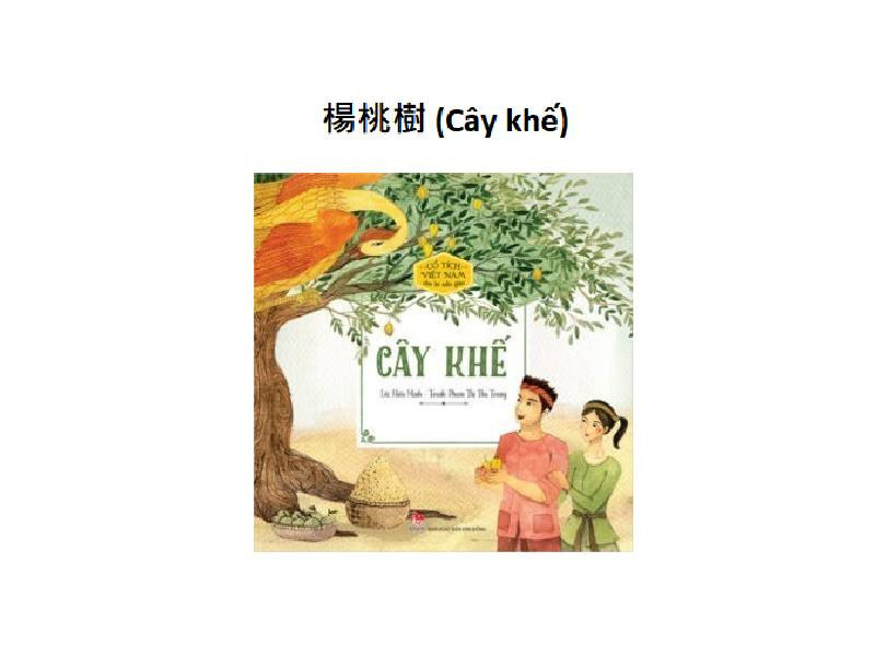楊桃樹