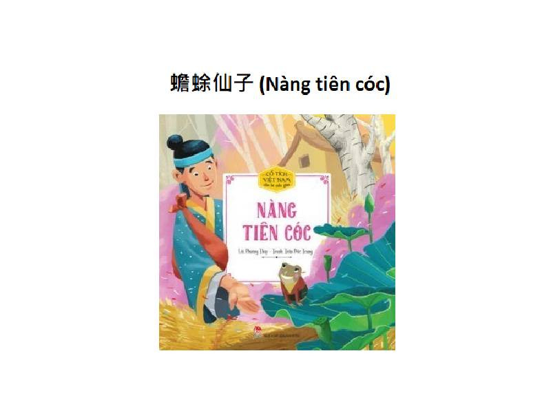 蟾蜍仙子