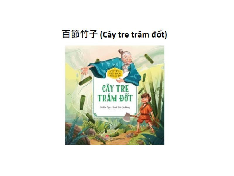 百節竹子