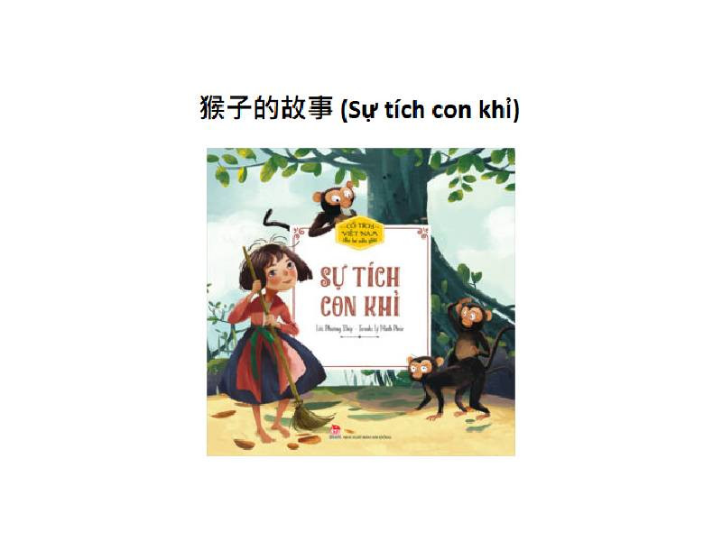 猴子的故事